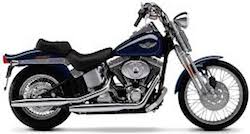 1HD1BLL1XLY013542 Harley Davidson FXSTS 2020 1HD1BLL1XLY013542 Harley Davidson FXSTS 2020